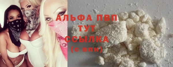 стаф Каменка