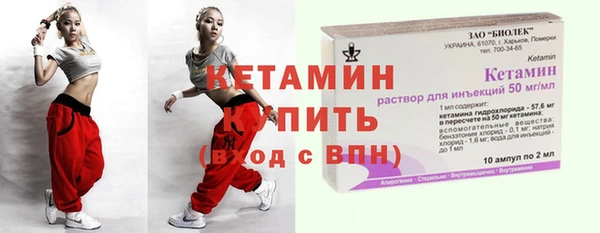 стаф Каменка