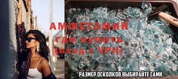 стаф Каменка