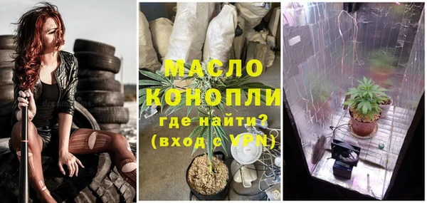 метадон Инта