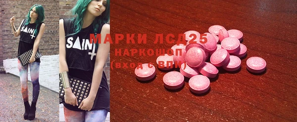 стаф Каменка