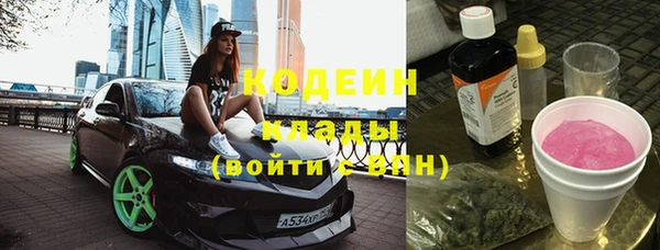 стаф Каменка