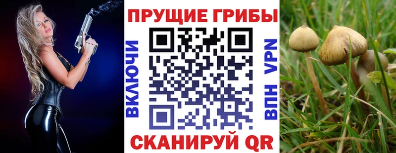 Псилоцибиновые грибы ЛСД  Камышин 
